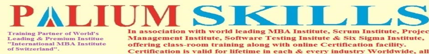 Palium Skills Institute